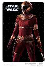 miniatura star-wars-episodio-ix-el-ascenso-de-skywalker-v14-por-franvilla cover carteles