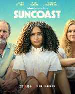 miniatura suncoast-por-mrandrewpalace cover carteles