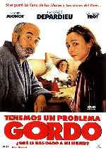 miniatura tenemos-un-problema-gordo-v2-por-melegar cover carteles
