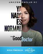 miniatura the-good-doctor-2017-temporada-05-v4-por-mrandrewpalace cover carteles