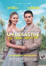 miniatura un-desastre-es-para-siempre-por-chechelin cover carteles