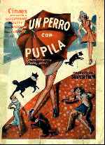 miniatura un-perro-con-pupila-por-lupro cover carteles