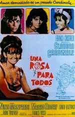 miniatura una-rosa-para-todos-por-condozco-jones cover carteles