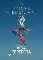 miniatura vida-perfecta-v6-por-chechelin cover carteles