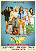 miniatura volando-bajo-v3-por-melegar cover carteles