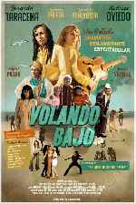 miniatura volando-bajo-v5-por-melegar cover carteles
