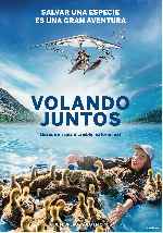 miniatura volando-juntos-v3-por-mrandrewpalace cover carteles