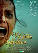 miniatura y-todos-arderan-v2-por-chechelin cover carteles