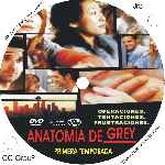 miniatura Anatomia De Grey Temporada 01 Custom Por Jrc cover cd