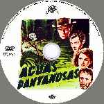 miniatura aguas-pantanosas-custom-por-solonely cover cd