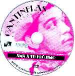 miniatura ama-a-tu-projimo-cantinflas-coleccion-region-1-4-por-davidlanda cover cd