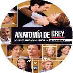miniatura anatomia-de-grey-temporada-05-custom-por-vigilantenocturno cover cd