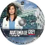 miniatura anatomia-de-grey-temporada-08-disco-01-custom-por-analfabetix cover cd