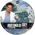 miniatura anatomia-de-grey-temporada-08-disco-06-custom-por-analfabetix cover cd