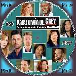 miniatura anatomia-de-grey-temporada-09-custom-por-menta cover cd
