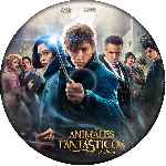 miniatura animales-fantasticos-y-donde-encontrarlos-custom-v6-por-alfix0 cover cd