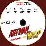 miniatura ant-man-y-la-avispa-custom-v04-por-anderpala1 cover cd