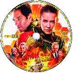 miniatura ant-man-y-la-avispa-custom-v07-por-zeromoi cover cd