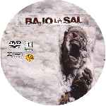 miniatura bajo-la-sal-custom-v3-por-gustavoramirezj cover cd
