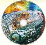 miniatura bbc-dragones-de-hoy-los-dominantes-region-1-4-por-johnny-valverde cover cd