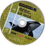 miniatura bbc-el-pais-1-volumen-13-por-potxoki cover cd