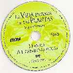 miniatura bbc-la-vida-privada-de-las-plantas-supervivencia-por-gustavo-sfcbaarg cover cd