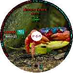 miniatura bbc-planeta-tierra-ii-04-06-custom-por-pispi cover cd