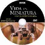 miniatura bbc-vida-en-miniatura-los-hilanderos-de-seda-custom-por-solonely cover cd