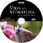 miniatura bbc-vida-en-miniatura-relaciones-intimas-custom-por-solonely cover cd
