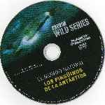 miniatura bbc-wild-series-33-el-mundo-natural-los-pinguinos-de-la-antartida-por-pispi cover cd