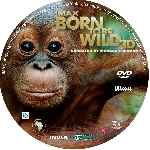 miniatura born-to-be-wild-custom-por-ovaper863 cover cd