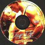 miniatura camino-a-la-fama-2006-region-4-por-popul cover cd