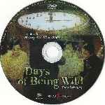 miniatura days-of-being-wild-dias-salvajes-por-mackintosh cover cd