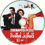 miniatura demasiado-calido-para-junio-por-condozco-jones cover cd