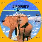 miniatura discovery-channel-africa-el-reino-del-elefante-custom-por-menta cover cd