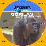 miniatura discovery-channel-gorilas-tiernos-gigantes-por-menta cover cd