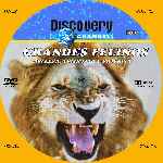 miniatura discovery-channel-grandes-felinos-custom-por-menta cover cd
