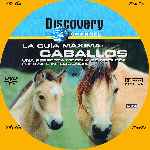 miniatura discovery-channel-la-guia-maxima-caballos-custom-por-menta cover cd