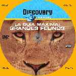 miniatura discovery-channel-la-guia-maxima-grandes-felinos-custom-por-menta cover cd