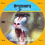 miniatura discovery-channel-la-guia-maxima-grandes-simios-custom-por-menta cover cd