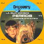 miniatura discovery-channel-la-guia-maxima-perros-custom-por-menta cover cd