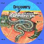 miniatura discovery-channel-la-guia-maxima-serpientes-custom-por-menta cover cd