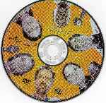 miniatura dr-house-temporada-01-disco-03-region-4-por-robertodvdclub cover cd