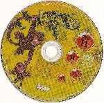miniatura dragon-ball-dvd-11-por-davizzzzzzz cover cd