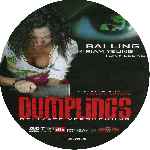miniatura dumplings-custom-por-traxx24 cover cd