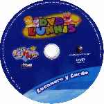 miniatura dvd-lunnis-volumen-37-por-matojin cover cd