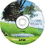 miniatura el-increible-castillo-vagabundo-region-4-por-alpa cover cd