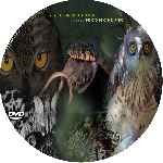 miniatura el-latido-del-bosque-custom-por-padre41 cover cd