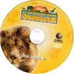 miniatura el-maravilloso-mundo-de-los-animales-volumen-01-los-leones-por-caldave cover cd