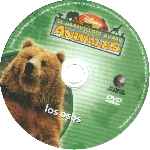 miniatura el-maravilloso-mundo-de-los-animales-volumen-02-los-osos-por-caldave cover cd